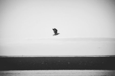 Vuelo Ligero