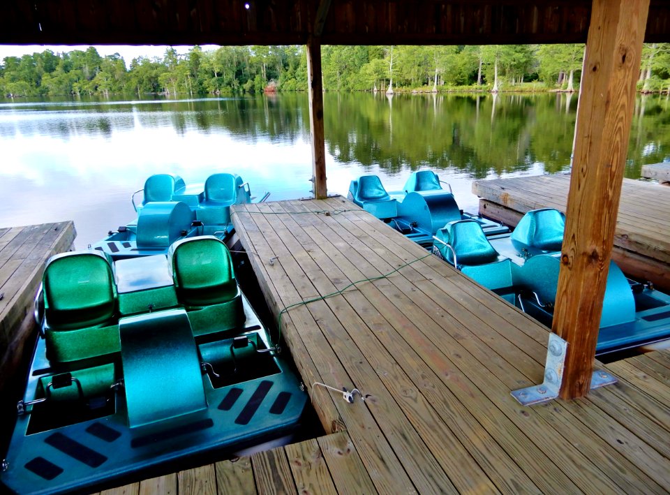 scene paddle boats Jones Lake State Park ncwetlands KG (59)