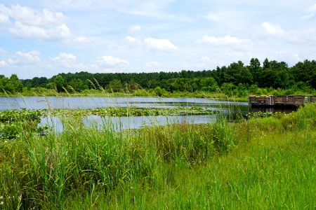scene Arrowhead Lake pee dee nwr KG (2)