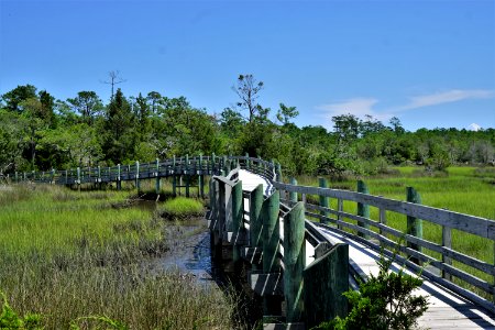scene Cedar Point trail Croatan KG (47)