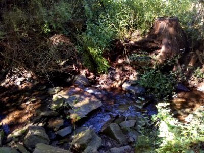 Tyler State Park trip 16/9/18 (2)