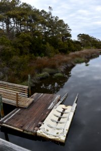 oak island 31st st scenic walkway ncwetlands AM (1)
