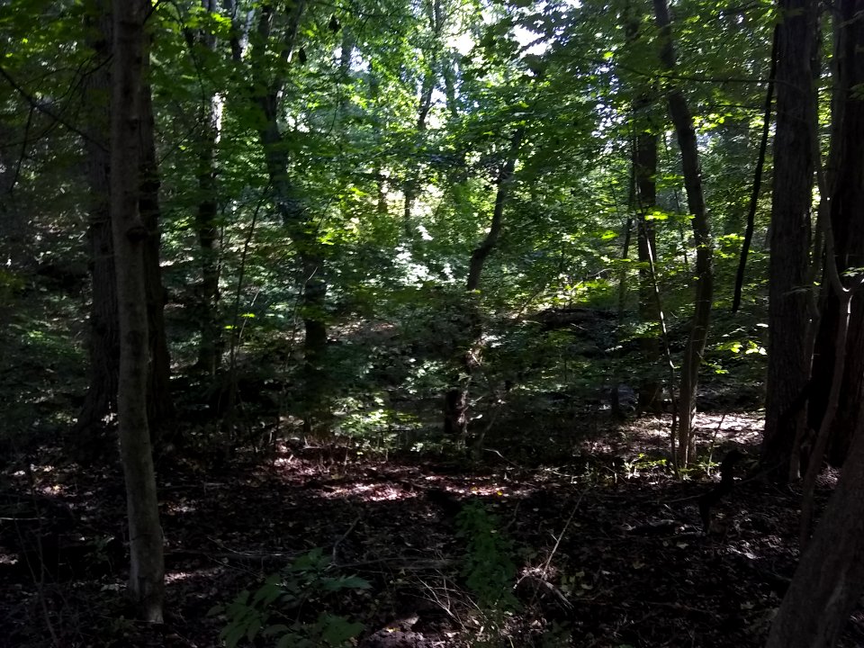Tyler State Park trip 16/9/18 (1)