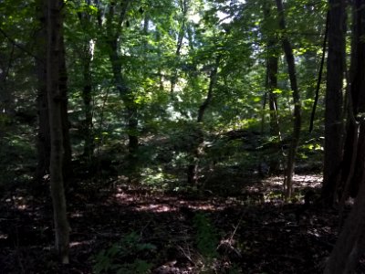 Tyler State Park trip 16/9/18 (1)