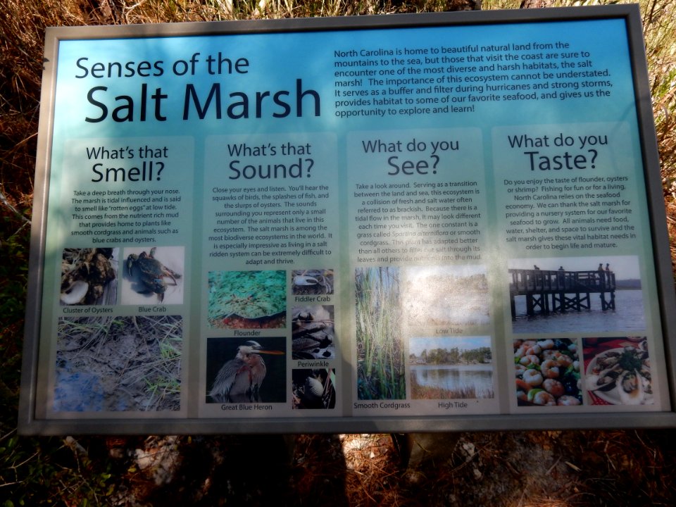 sign pages creek preserve ncwetlands KG (11)