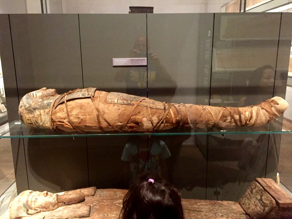 Mummy on display in Museo egizio