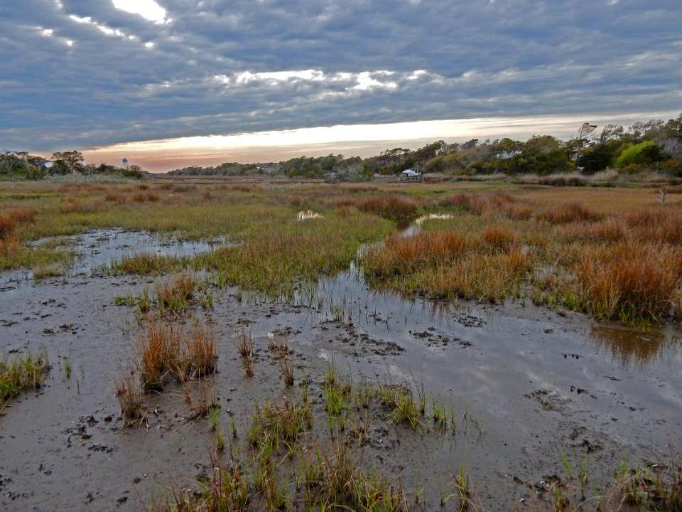 oak island 20th st scenic walkway ncwetlands KG (9)
