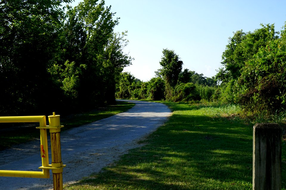 scene Lawson Creek Park KG (24)