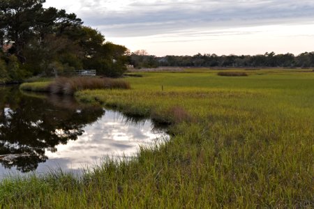 oak island 31st st scenic walkway ncwetlands AM (3)