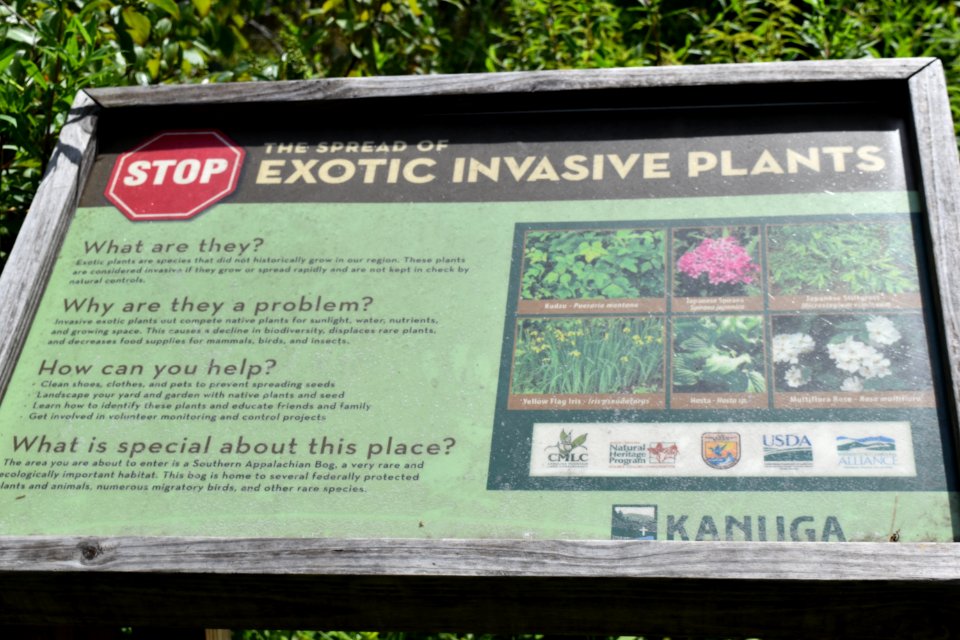 sign Kanuga Bog ncwetlands AM (1)