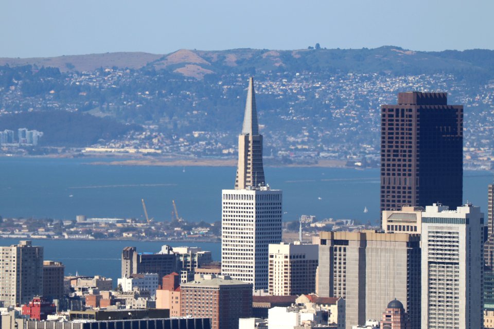 View of San Francisco from Twin Peaks