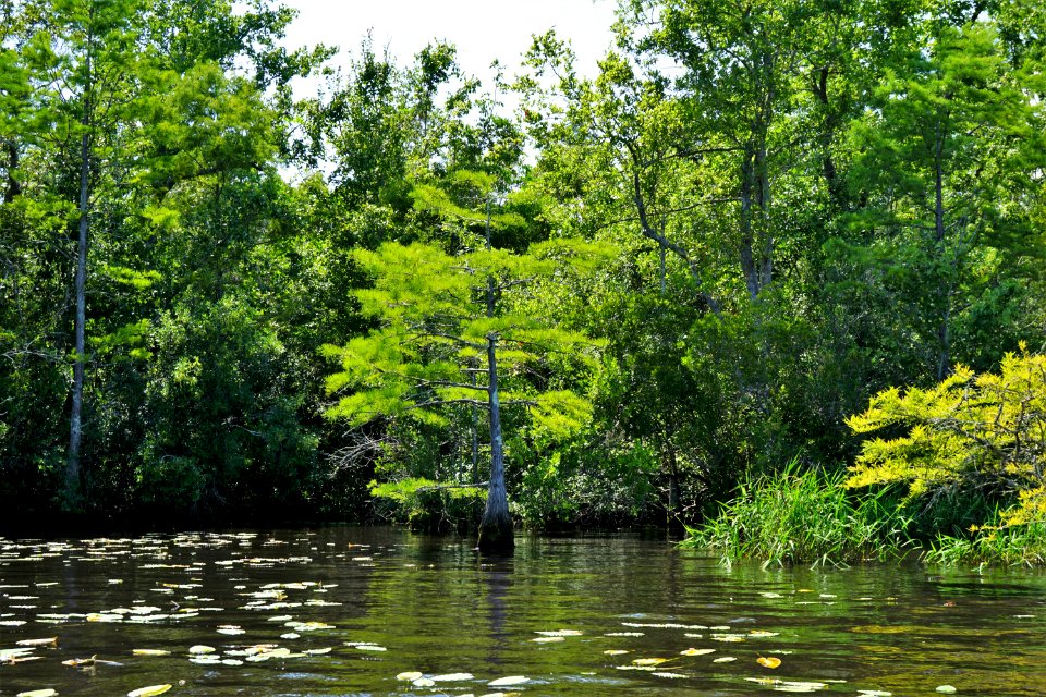scene Great Lake croatan NF KG (11)
