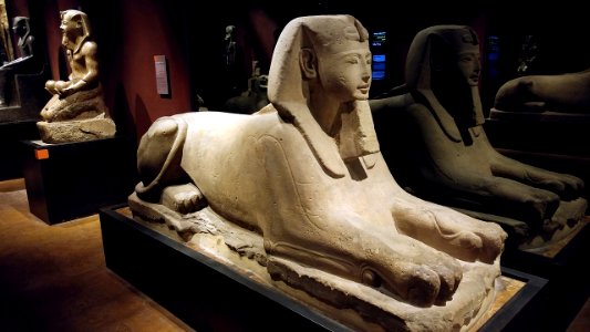 Sphinxes in the Museo egizio