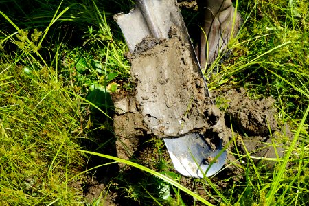 soil Little River Park ncwetlands KG (35)