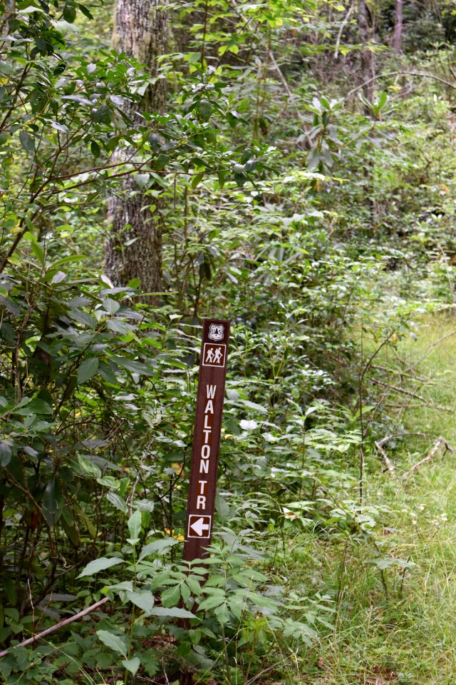 sign Walton Trail Bog ncwetlands AM (8)