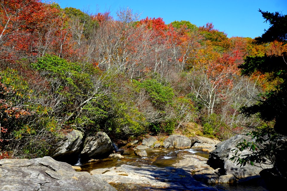 creek Graveyard Fields Blue Ridge ncwetlands KG (4)