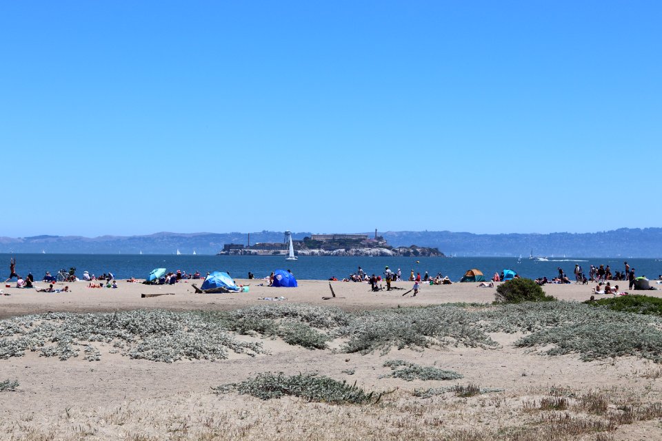 Alcatraz from Crissy Field Beach