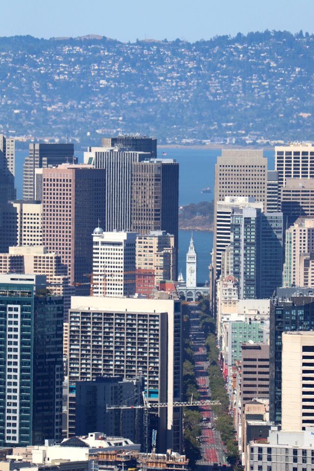 Ferry Building and Market Street from Twin Peaks