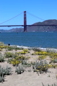 Golden Gate Bridge from Crissy Field Beach