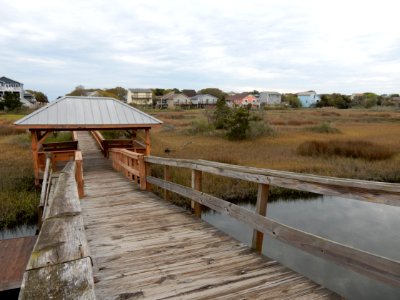 oak island 20th st scenic walkway ncwetlands KG (3)