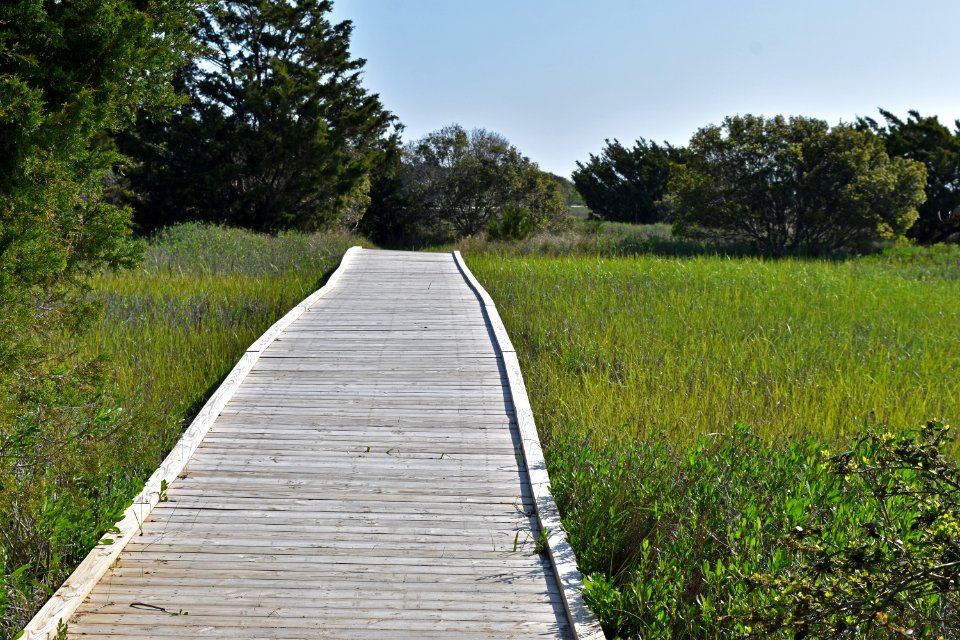 scene Fort Fisher SRA ncwetlands AM (13)