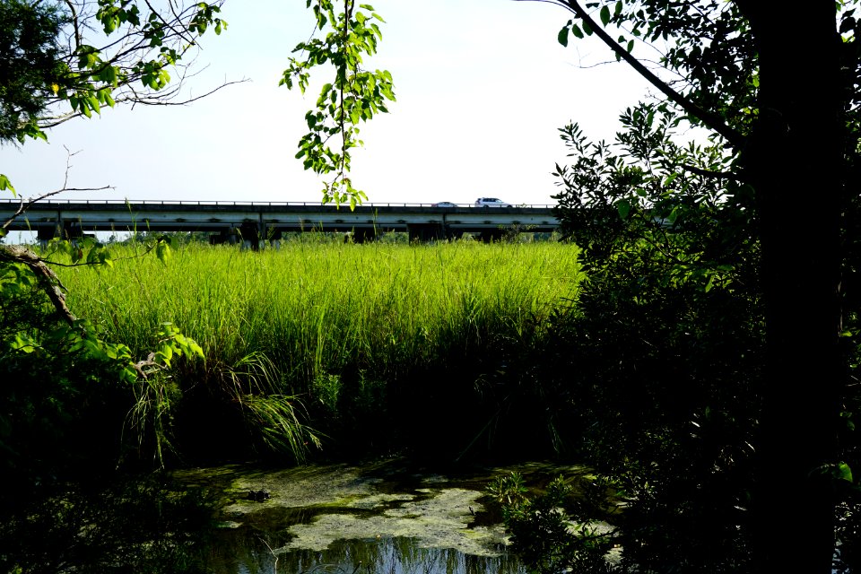 scene Lawson Creek Park KG (3)