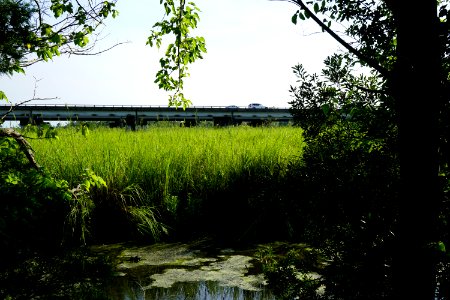 scene Lawson Creek Park KG (3)