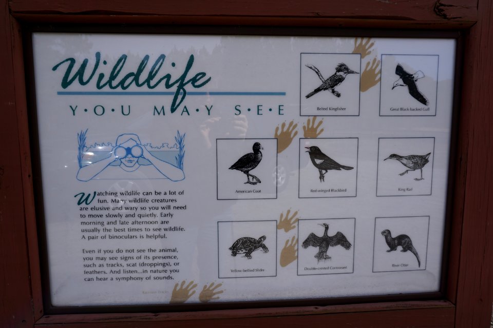 sign Mackay Island NWR ncwetlands KG (20)