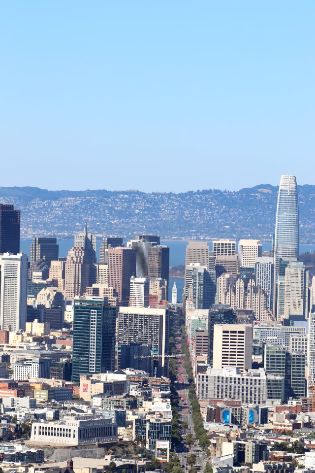 Salesforce Tower, Market Street and the Ferry Building from Twin Peaks