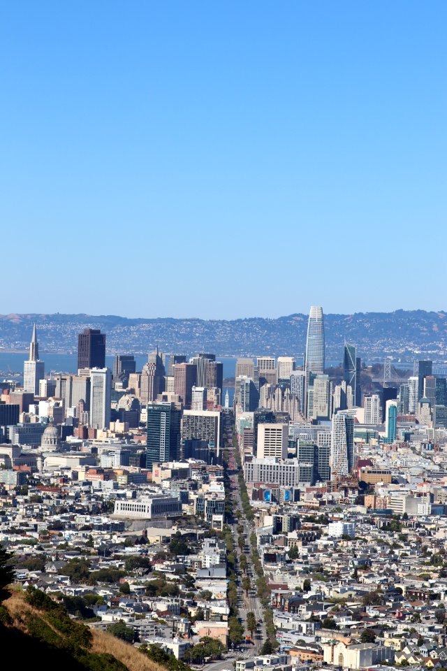 View of San Francisco from Twin Peaks