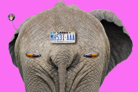 Rosa vintage pop art