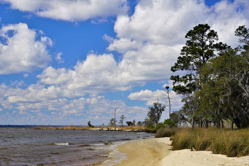 scene river Goose Creek SP KG (6)