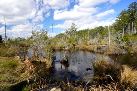 scene Goose Creek SP KG (2)