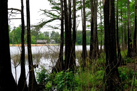 scene carvers creek SP KG (19)