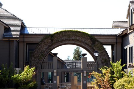 Haas School of Business