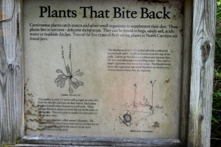 sign Pettigrew State Park ncwetlands am (11)