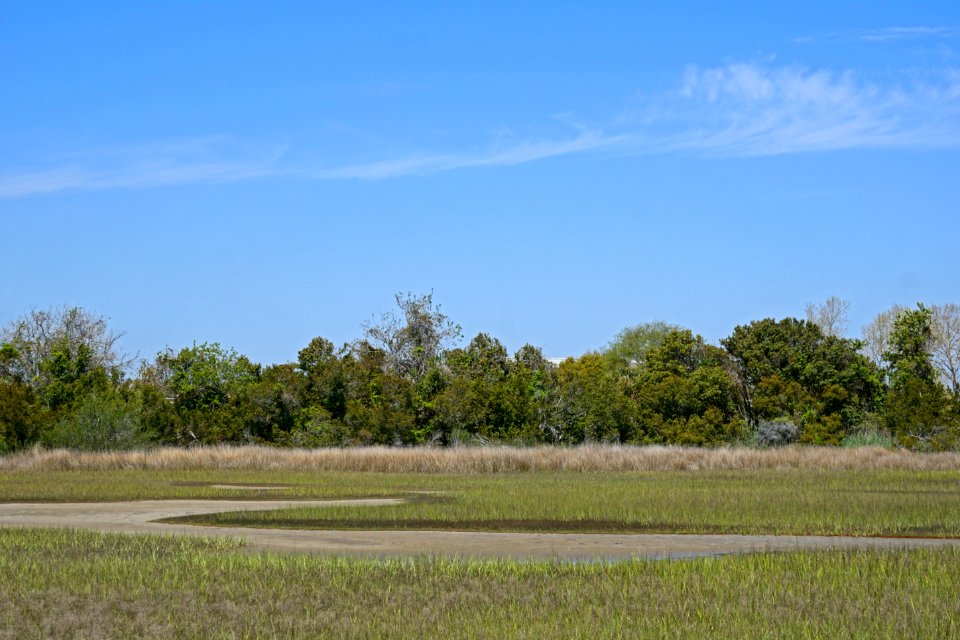 scene salt marsh Lee's nature park ncwetlands KG (1)