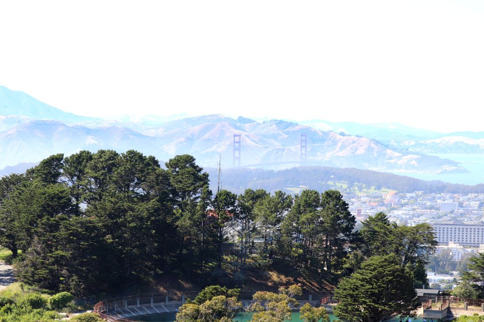 Golden Gate Bridge from Twin Peaks