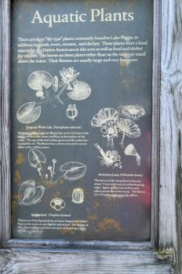 sign Pettigrew State Park ncwetlands am (12)