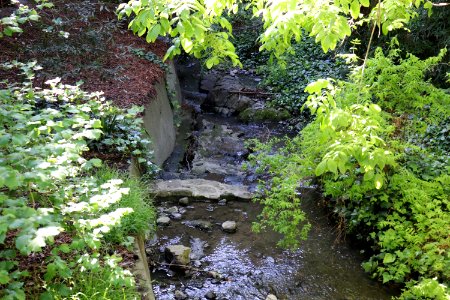 Strawberry Creek
