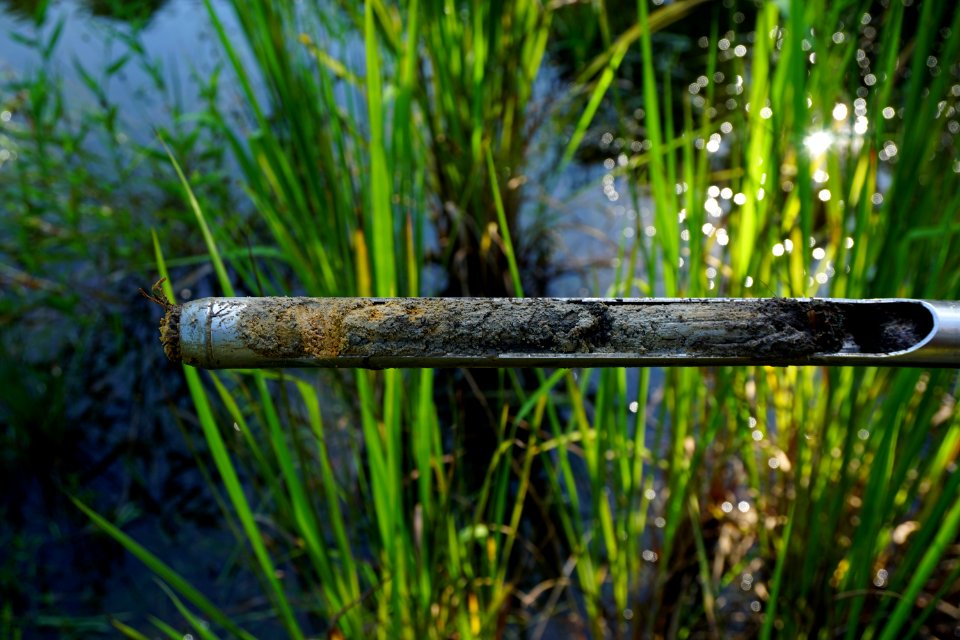 soil nonwetland Anderson Creek County Park ncwetlands KG (8)
