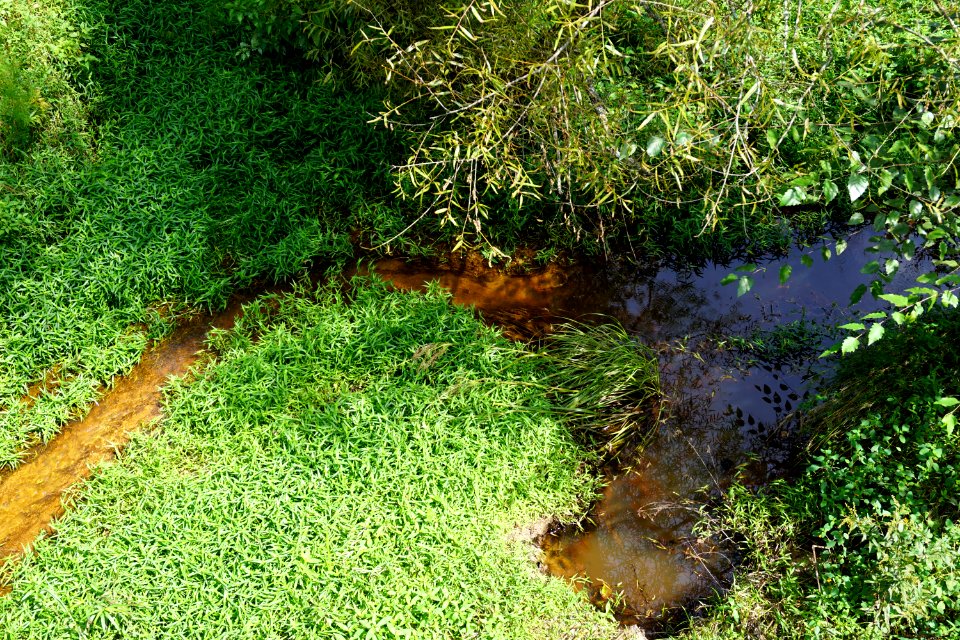 scene stream turnipseed nature preserve ncwetlands KG (2)