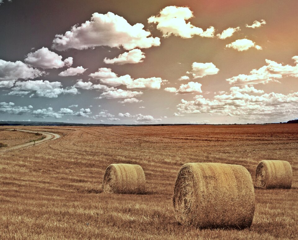 Landscape hay straw