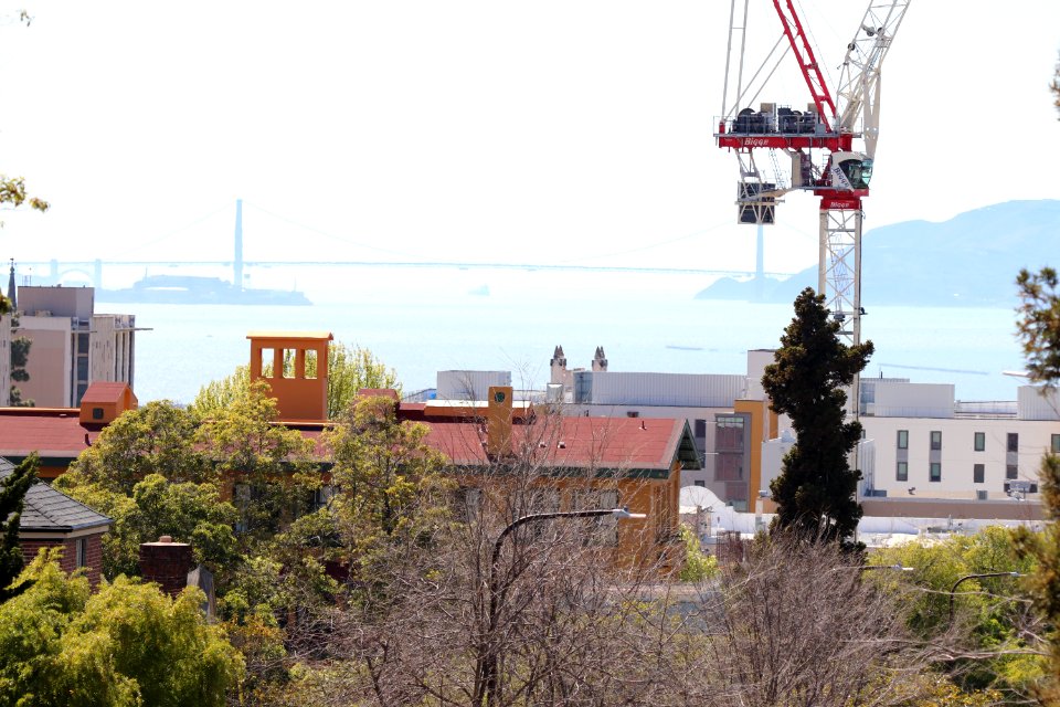 View of the Golden Gate Bridge from International House