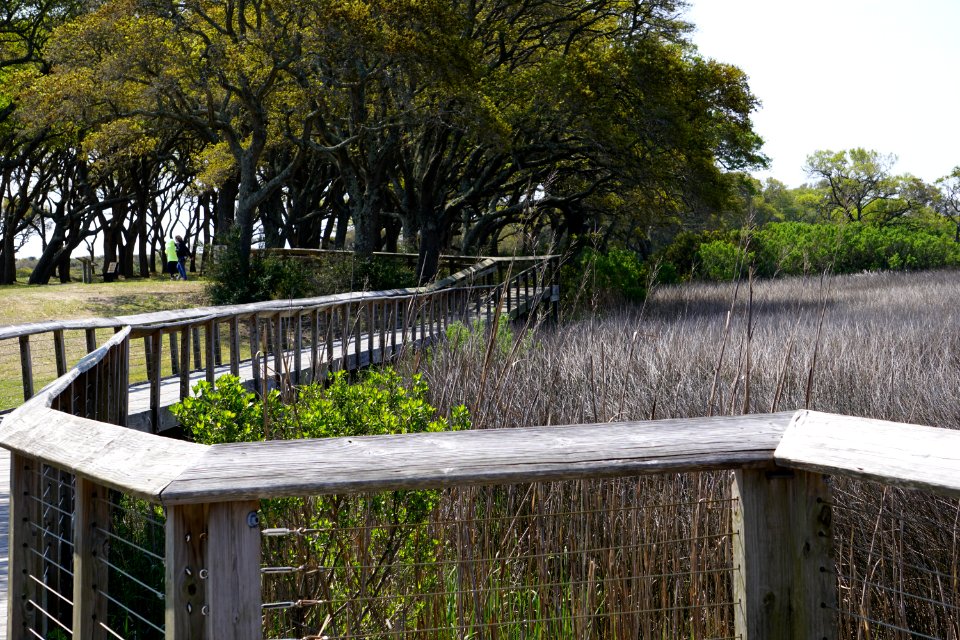 scene fort fisher state historic site ncwetlands KG (2)
