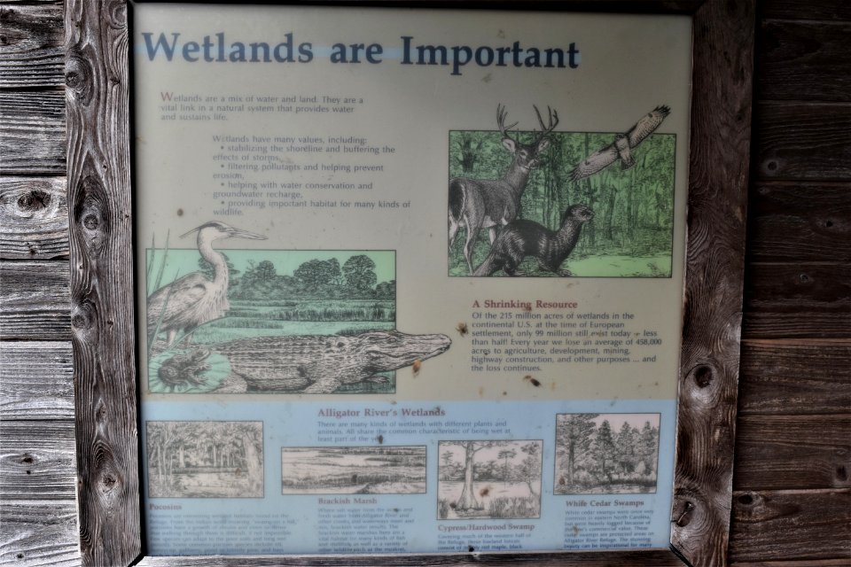 sign Alligator River NWR ncwetlands am (11)