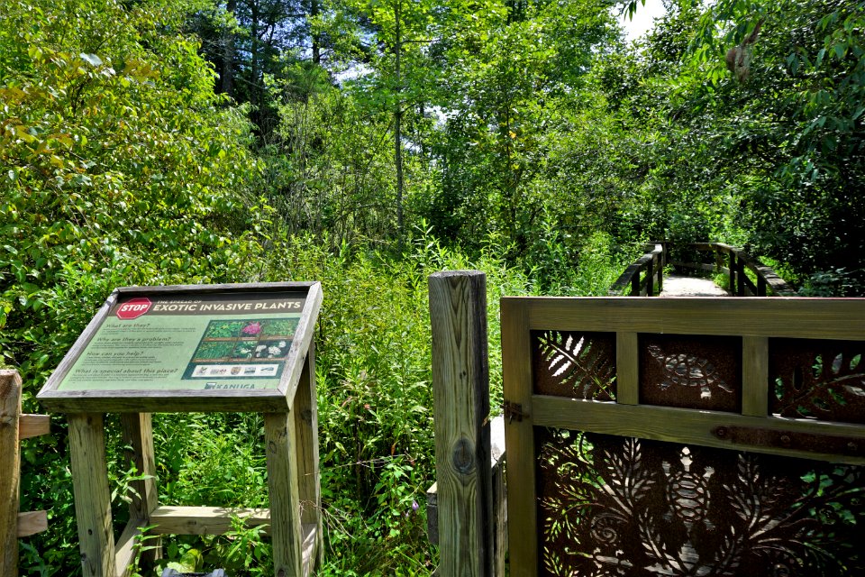 sign Kanuga Bog ncwetlands KG (1)