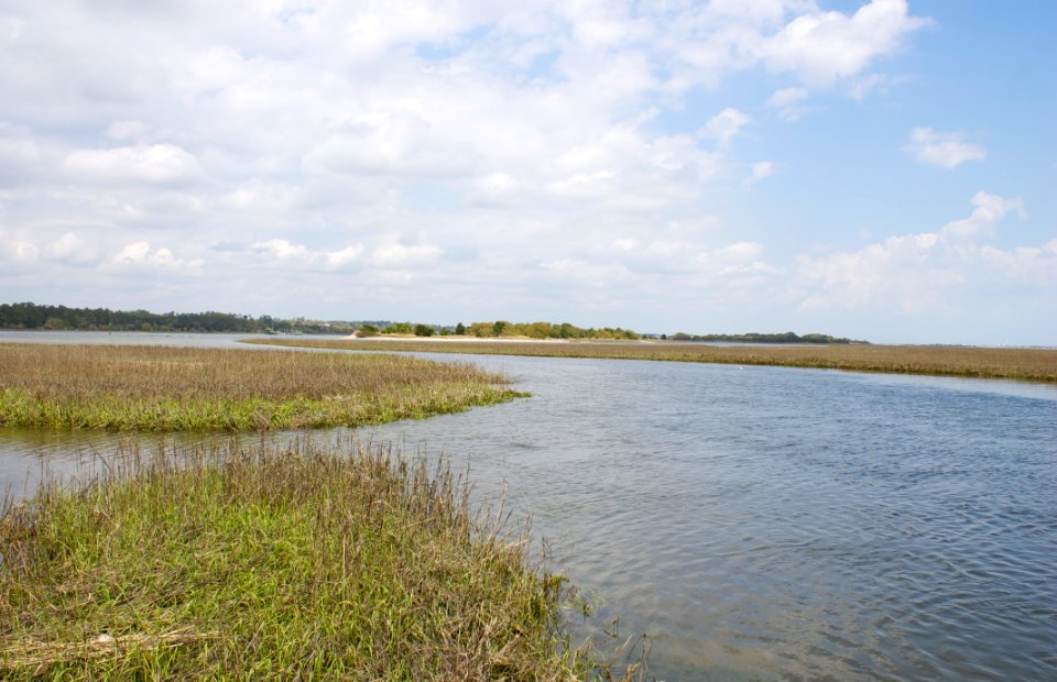 scene Masonboro Island Reserve E Woodward NC Coastal Reserve