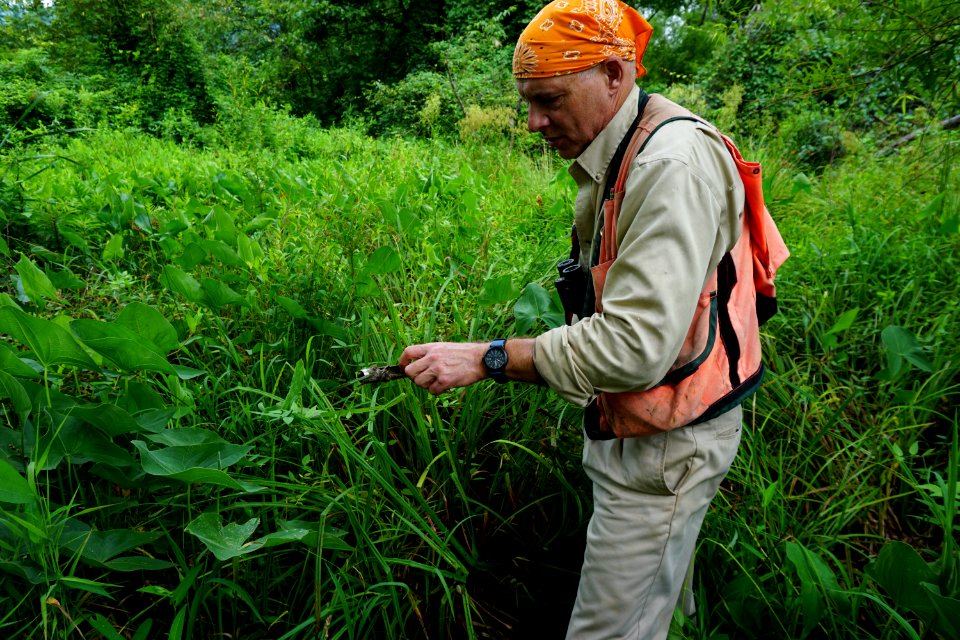 scientist studying wetland Morse Park ncwetlands KG (2)