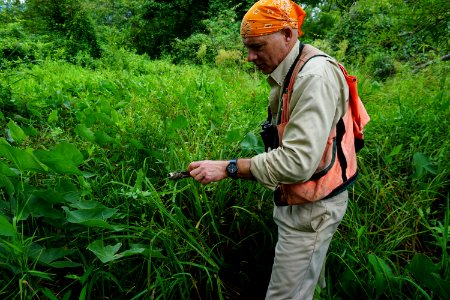 scientist studying wetland Morse Park ncwetlands KG (2) photo